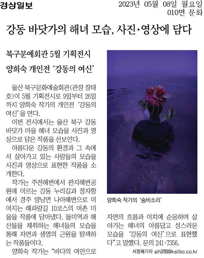 해당파일이미지