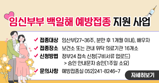팝업존이미지3