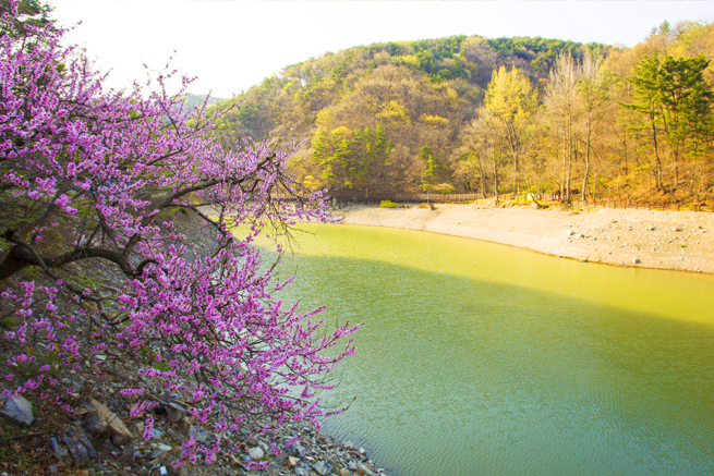 Songjeong Park Sangjin Lake Park2