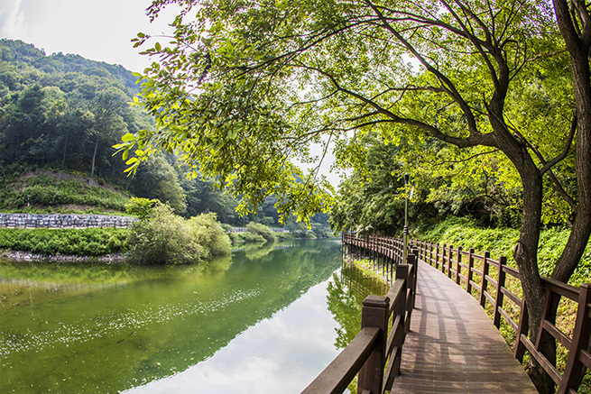 Songjeong Park Sangjin Lake Park4