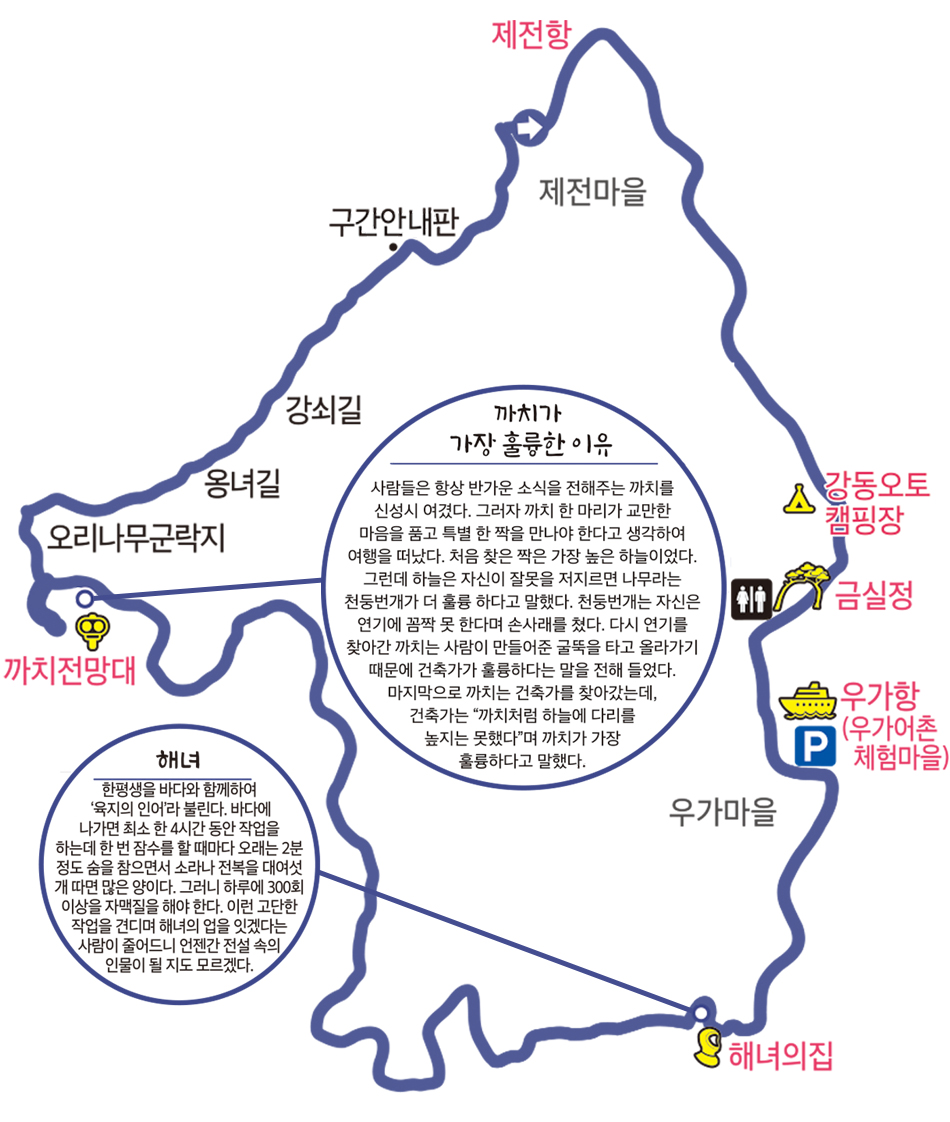 강동사랑길 4구간 이미지 - 제전마을 → 제전항 → 강동오토캠핑장 → 금실정 → 화장실 → 우가항 (우가어촌체험마을)  → 주차장 → 우가마을 → 해녀의집  → 신발바위 → 까치전망대 → 오리나무군락지 → 옹녀길 → 강쇠길 → 구간안내판 → 제전마을 입구 / 까치 전망대 - 까치가 가장 훌륭한 이유 : 사람들은 항상 반가운 소식을 전해주는 까치를 신성시 여겼다. 그러자 까치 한 마리가 교만한 마음을 품고 특별한 짝을 만나야 한다고 생각하여 여행을 떠났다. 처음 찾은 짝은 가장 높은 하늘이었다. 그런데 하늘은 자신이 잘못을 저지르면 나무라는 천둥번개가 더 훌륭하다고 말했다. 천둥번개는 자신은 연기에 꼼짝 못 한다며 손사래를 쳤다. 다시 연기를 찾아간 까치는 사람이 만들어준 굴뚝을 타고 올라가기 때문에 건축가가 훌륭하다는 말을 전해들었다. 마지막으로 까치는 건축가를 찾아갔는데, 건축가는 '까치처럼 하늘에 다리를 놓지는 못했다'며 까치가 가장 훌륭하다고 말했다. / 해녀의 집 - 해녀 : 한평생을 바다와 함께하여 '육지의 인어'라 불린다. 바다에 나가면 최소한 4시간 동안 작업을 하는데 한 번 잠수를 할 때마다 오래는 2분 정도 숨을 참으면서 소라나 전복을 대여섯 개 따면 많은 양이다. 그러니 하루에 300회 이상을 자맥질을 해야 한다. 이런 고단한 작업을 견디며 해녀의 업을 잇겠다는 사람이 줄어드니 언젠간 전설 속의 인물이 될지도 모르겠다.