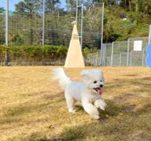 반려동물문화센터 이용권