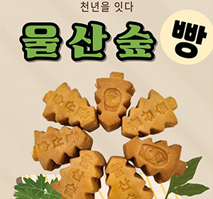울산숲빵