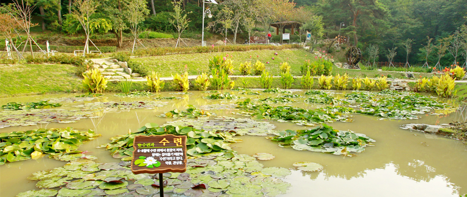 Hwadong Pond Waterside Park1