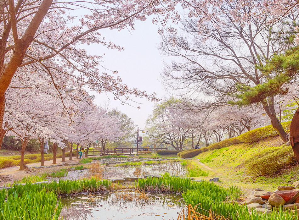 화동못 수변공원 풍경1
