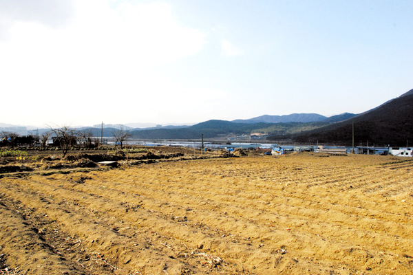 Jeungsan-dong Settlement Ruins1