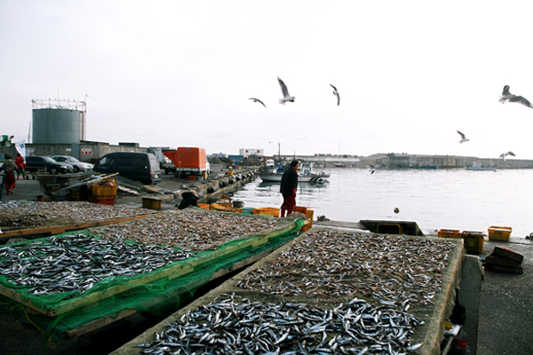 Jeongja port1