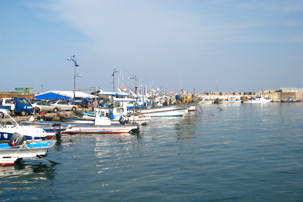 Jeongja port2