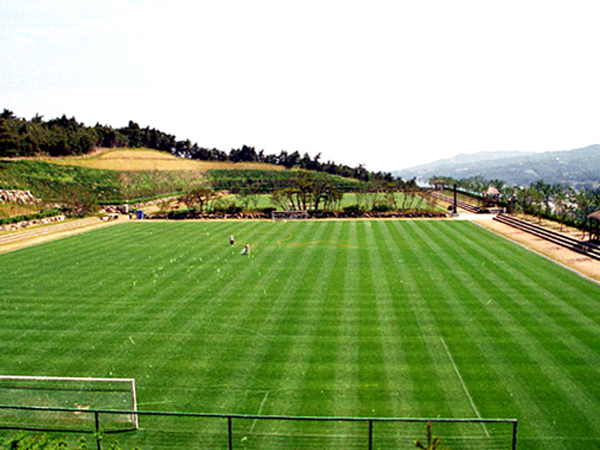 Gangdong Football Ground1