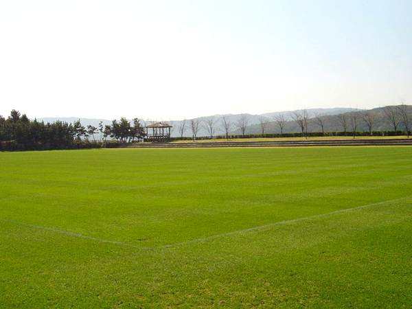 Gangdong Football Ground3