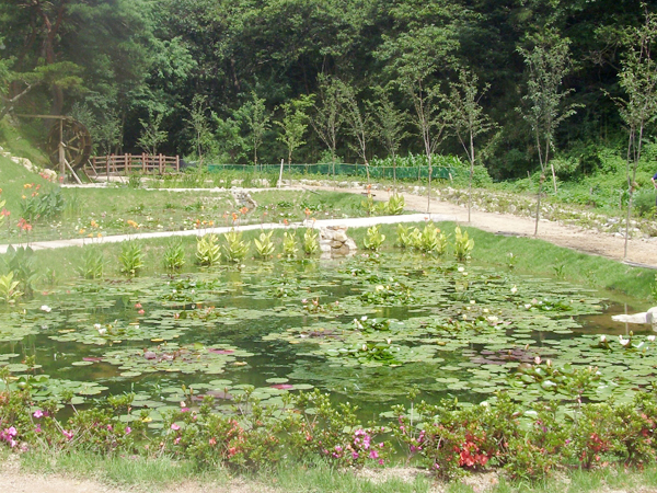 화동못 수변공원 생태습지의 모습