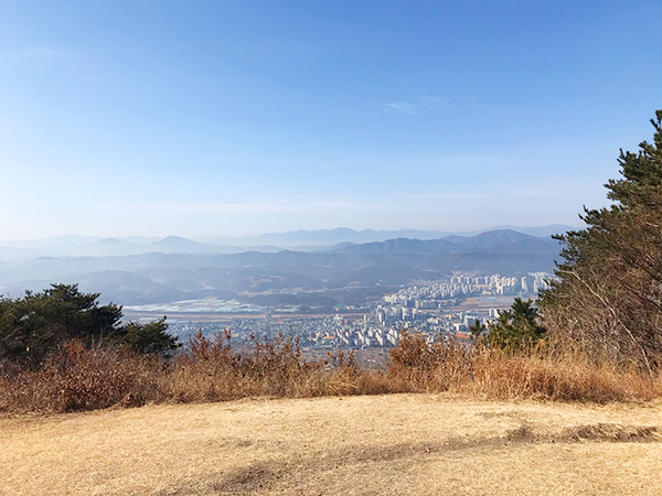 동대산 정상