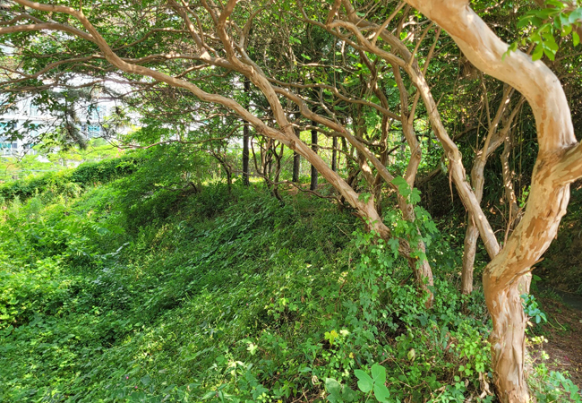 농소배드민턴장 조성 현장사진 2