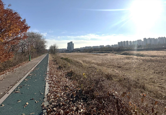 농소권 파크골프장 조성 현장사진