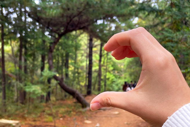 강이 보이는 판백산림욕장 산책로 풍경