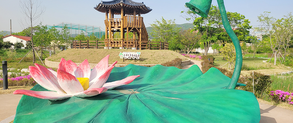 연암정원 연꽃포토존 전경