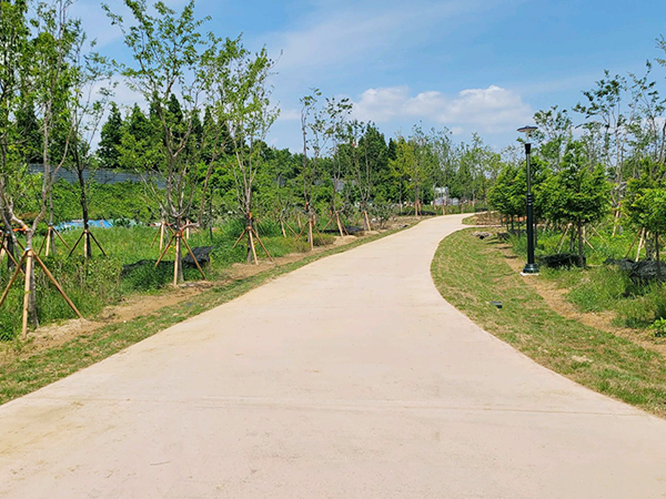 황토산책로의 모습