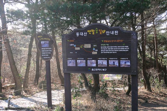 동대산 맨발 숲길 안내판의 모습