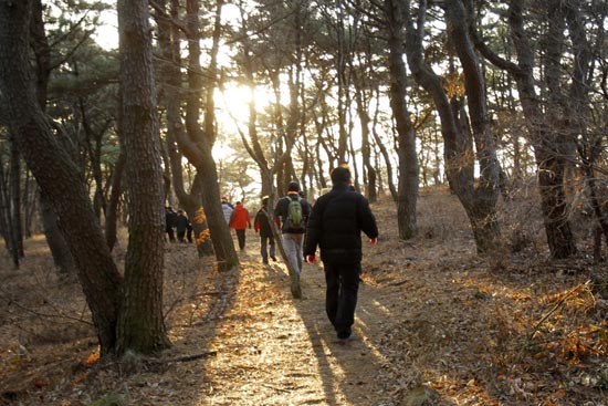 해질녘 동대산에서 산행을 하는 시민들의 모습