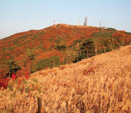 단풍으로 붉게 물든 무룡산전경 모습