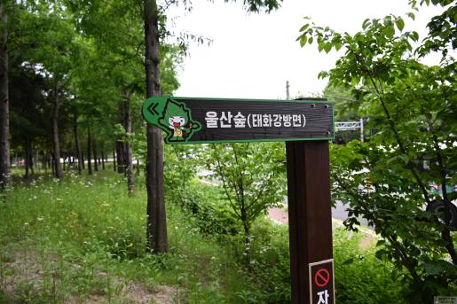 첨부파일12