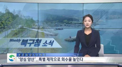 2025년 7월 4주