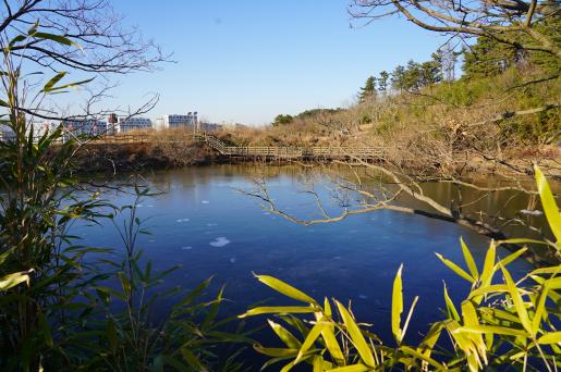 운치 있는 겨울 연못 ‘화동못 수변공원’