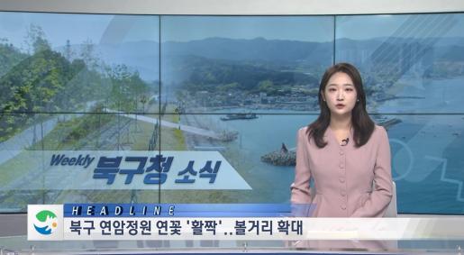 2025년 8월 1주