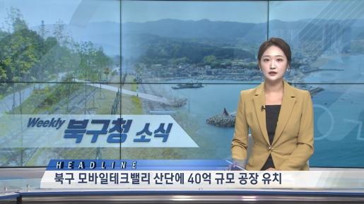 2025년 8월 3주