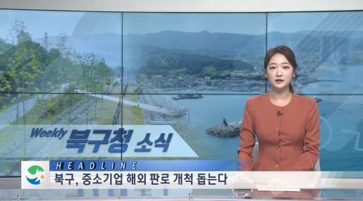 2025년 8월 4주