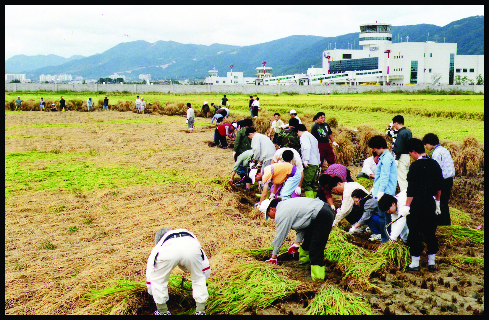 첨부파일5