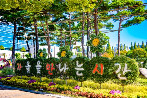 (자료이미지-11) 2024 가을국화전시회-가을소풍, 구청광장  2024.10.24