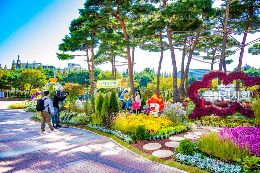 (자료이미지-13) 2024 가을국화전시회-가을소풍, 구청광장  2024.10.24