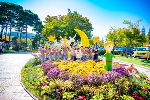 (자료이미지-14) 2024 가을국화전시회-가을소풍, 구청광장  2024.10.24