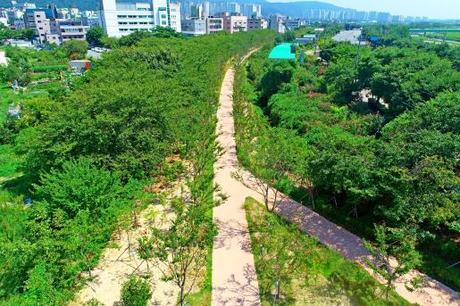 (자료사진)-도시숲 조성-협성노블리스앞 2024.8.23