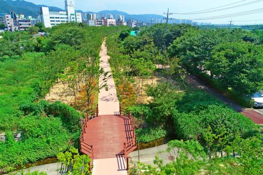 (자료사진)-도시숲 조성-협성노블리스앞 2024.8.23