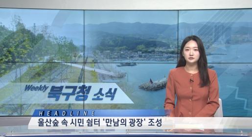 2025년 5월 4주