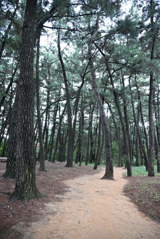 첨부파일21