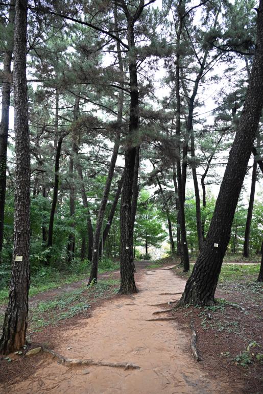 첨부파일22