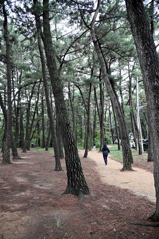 첨부파일27