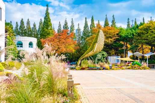 # 북구 1컷-가을국화전시회/북구청 광장