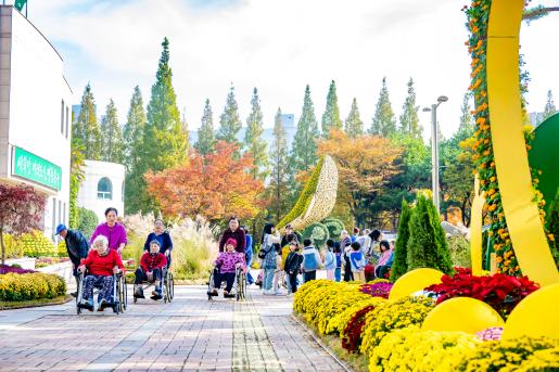 # 북구 1컷-가을국화전시회/북구청 광장