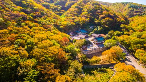 # 북구 1컷-신흥사 가을