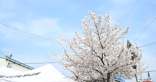 첨부파일8