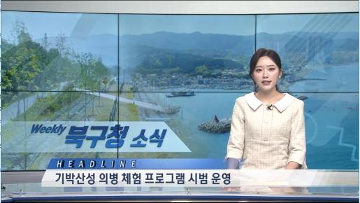 2026년 5월 1주
