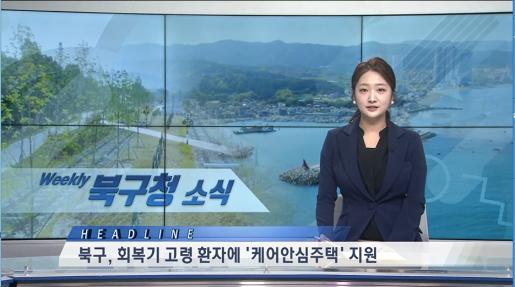 2026년 5월 2주