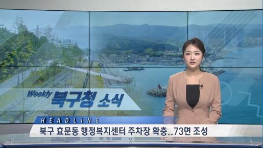 2026년 6월 5주