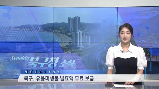 2026년 7월 3주