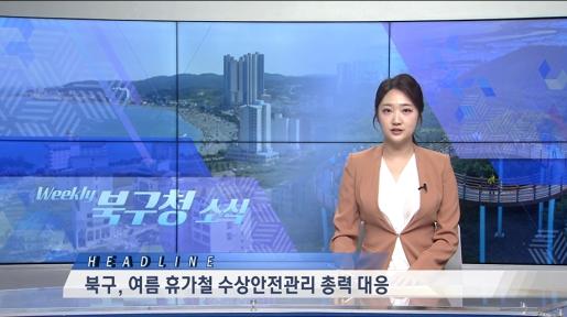 2026년 8월 1주