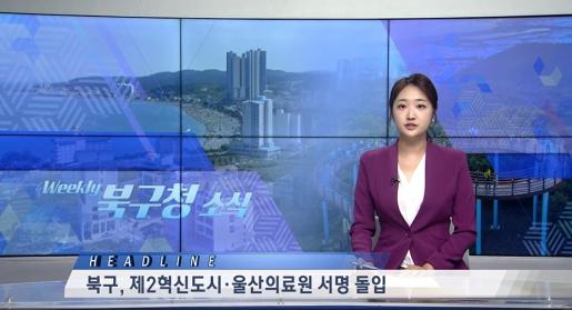2026년 8월 2주